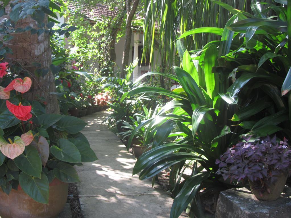 Hotel Peacock Land Tangalle Exteriér fotografie