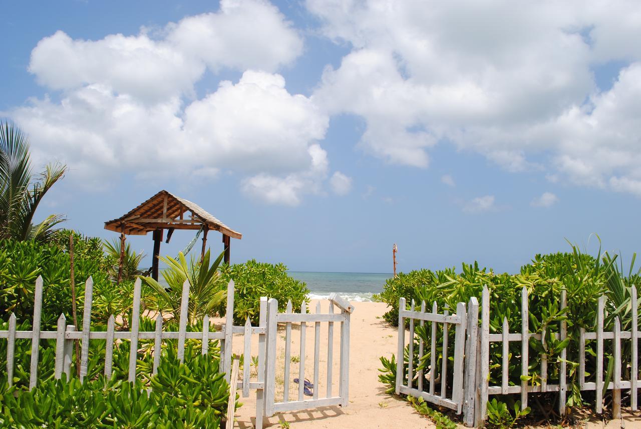Hotel Peacock Land Tangalle Exteriér fotografie