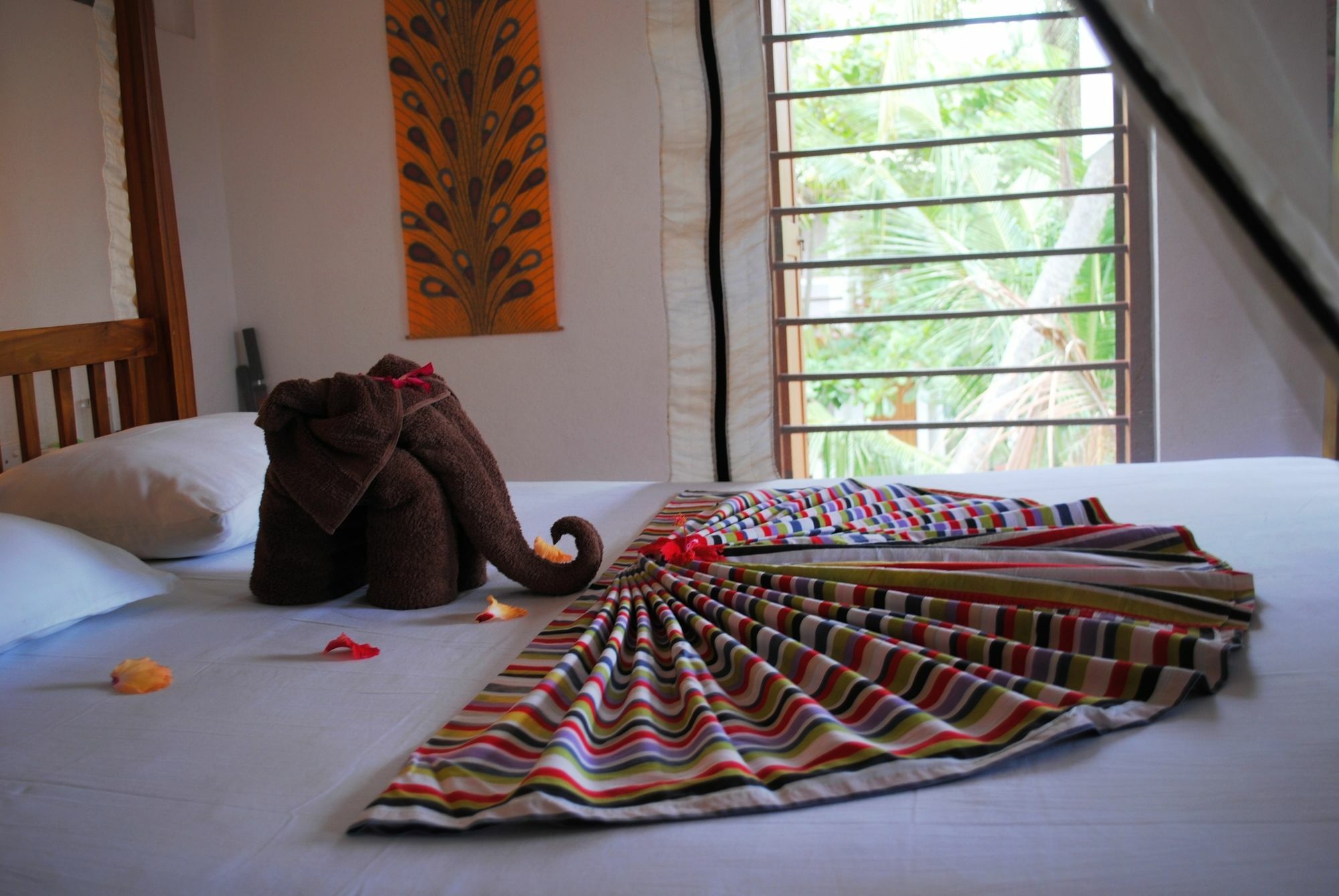 Hotel Peacock Land Tangalle Exteriér fotografie