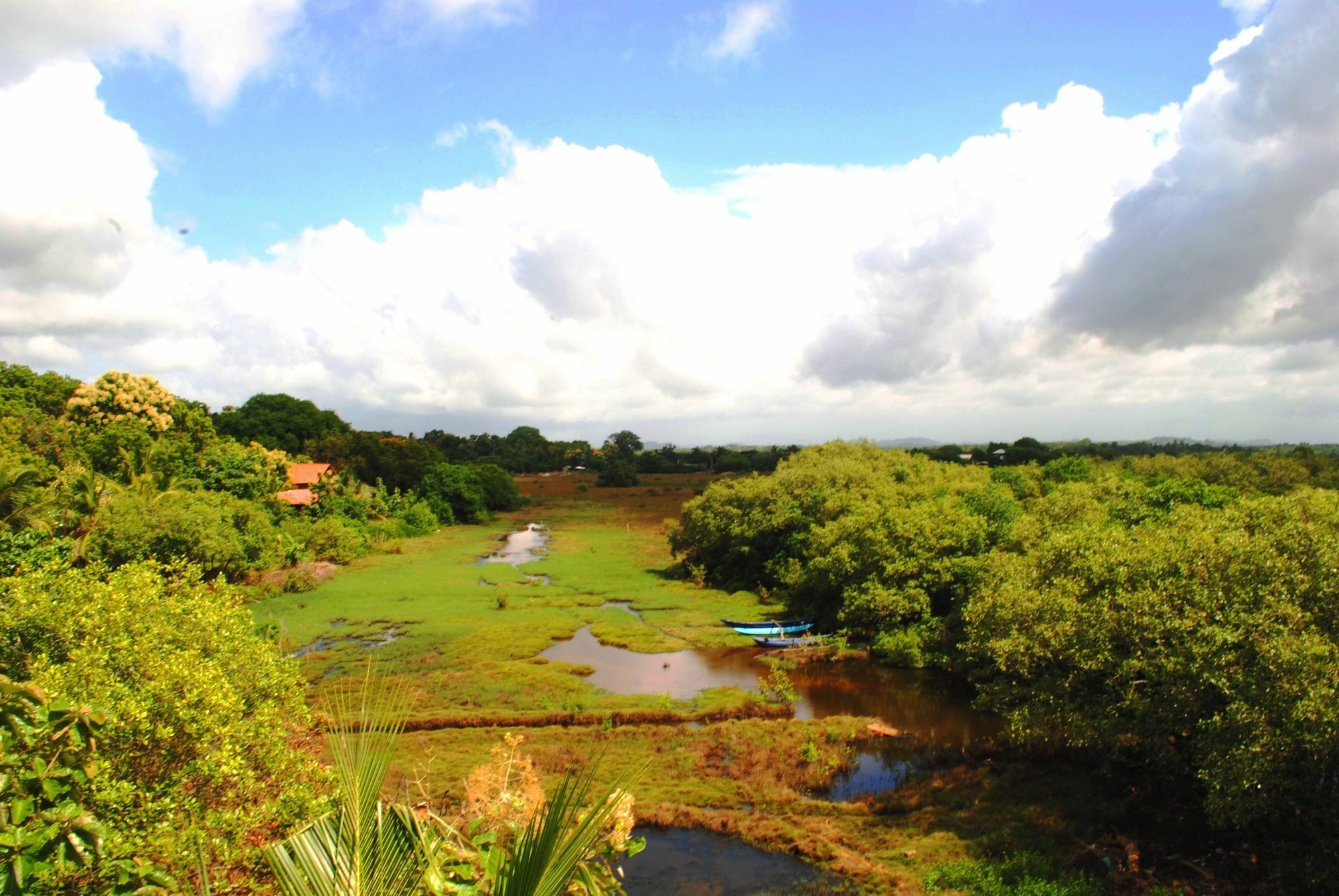 Hotel Peacock Land Tangalle Exteriér fotografie